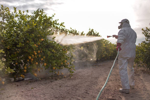 Trusted Annapolis Neck, MD Pest Control Experts