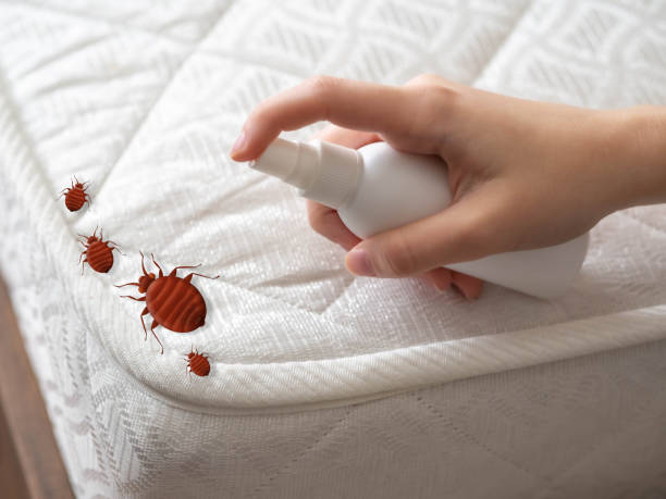 Best Mosquito Control Services  in Annapolis Neck, MD