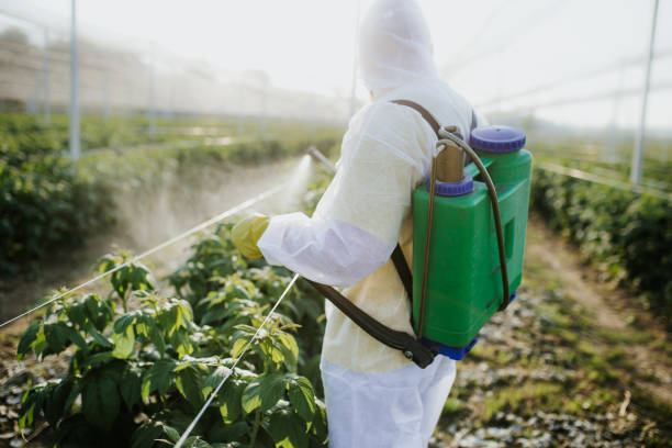 Best Affordable Pest Control Services  in Annapolis Neck, MD